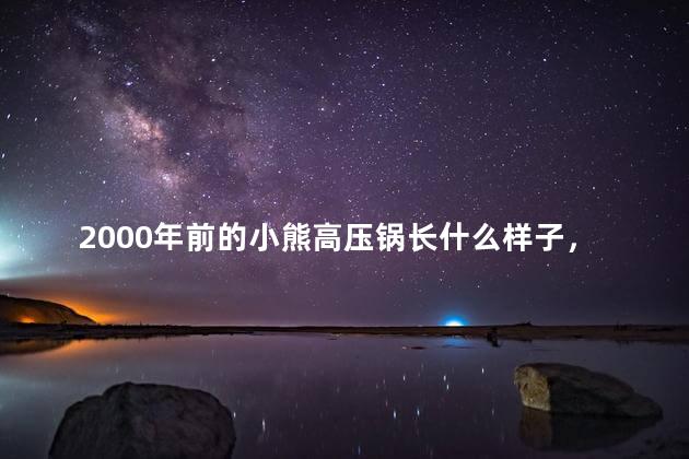 2000年前的小熊高压锅长什么样子，2000年前的小熊"高压锅"